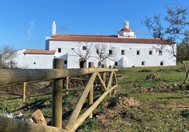 Algunos trabajos realizados