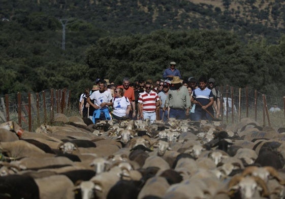 Durante el recorrido del año pasado