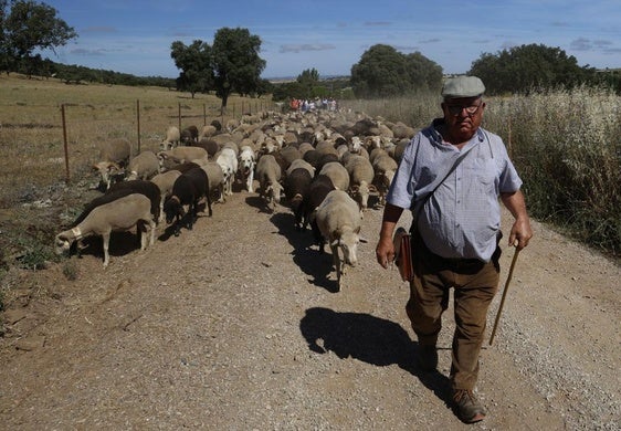 Recorrido Trashumante del año pasado
