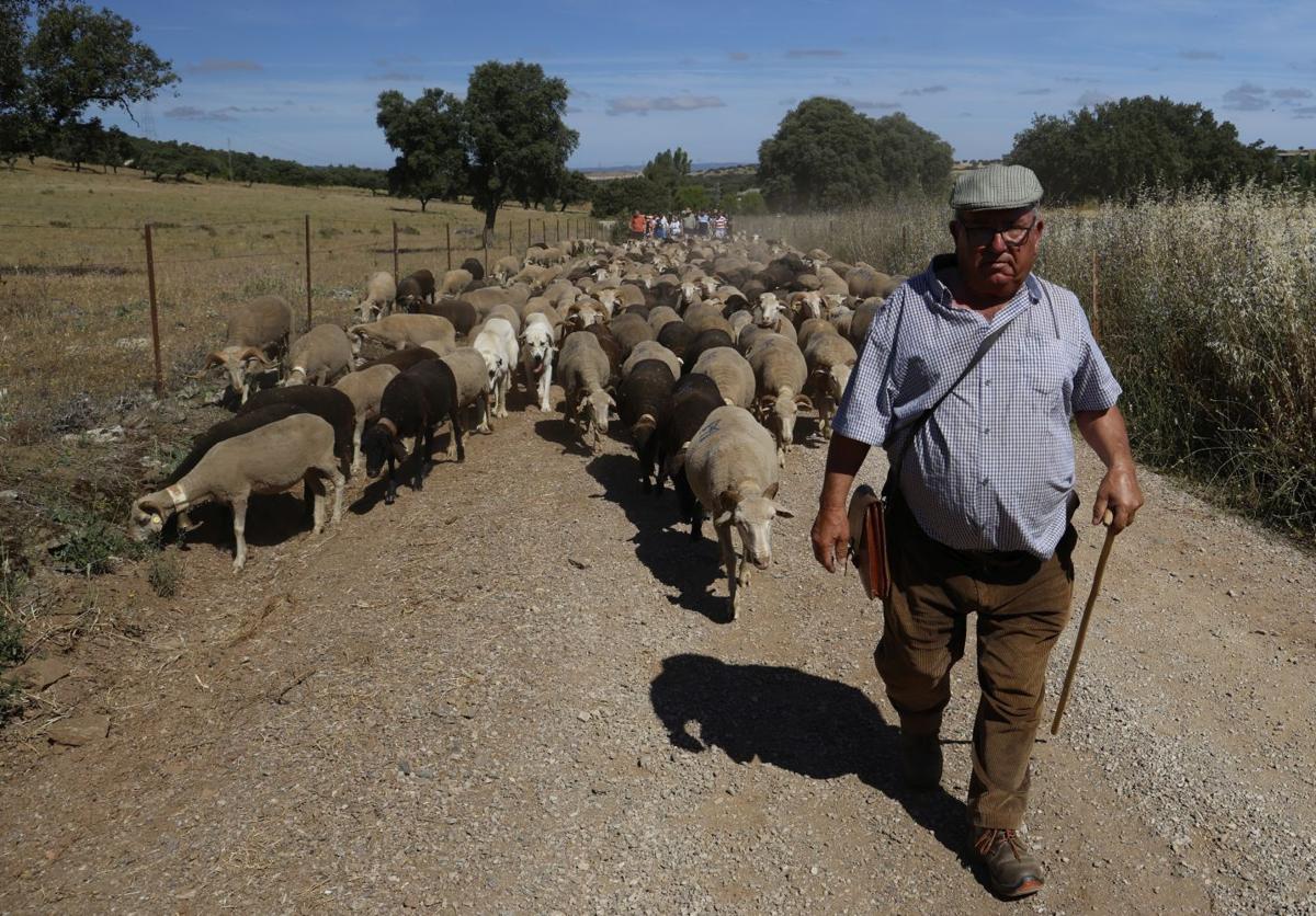 Recorrido Trashumante del año pasado