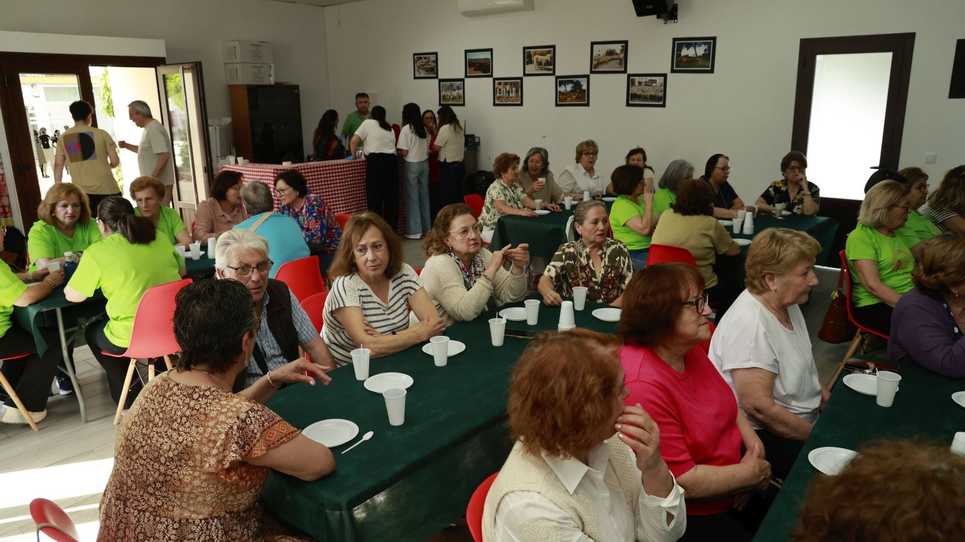 &#039;Vive la Trashumancia&#039; y &#039;Feria del Queso Artesano&#039; (I)