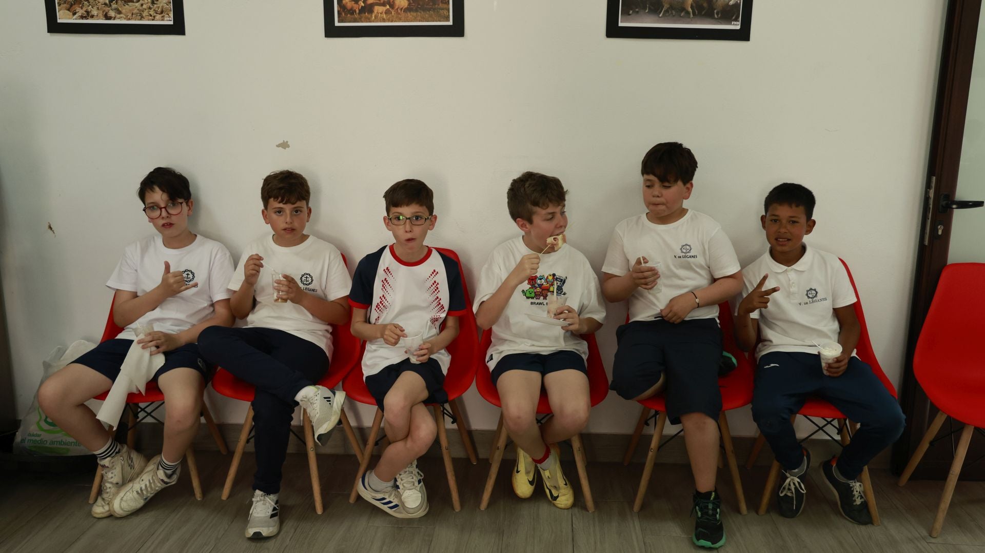 'Vive la Trashumancia' y 'Feria del Queso Artesano' (I)