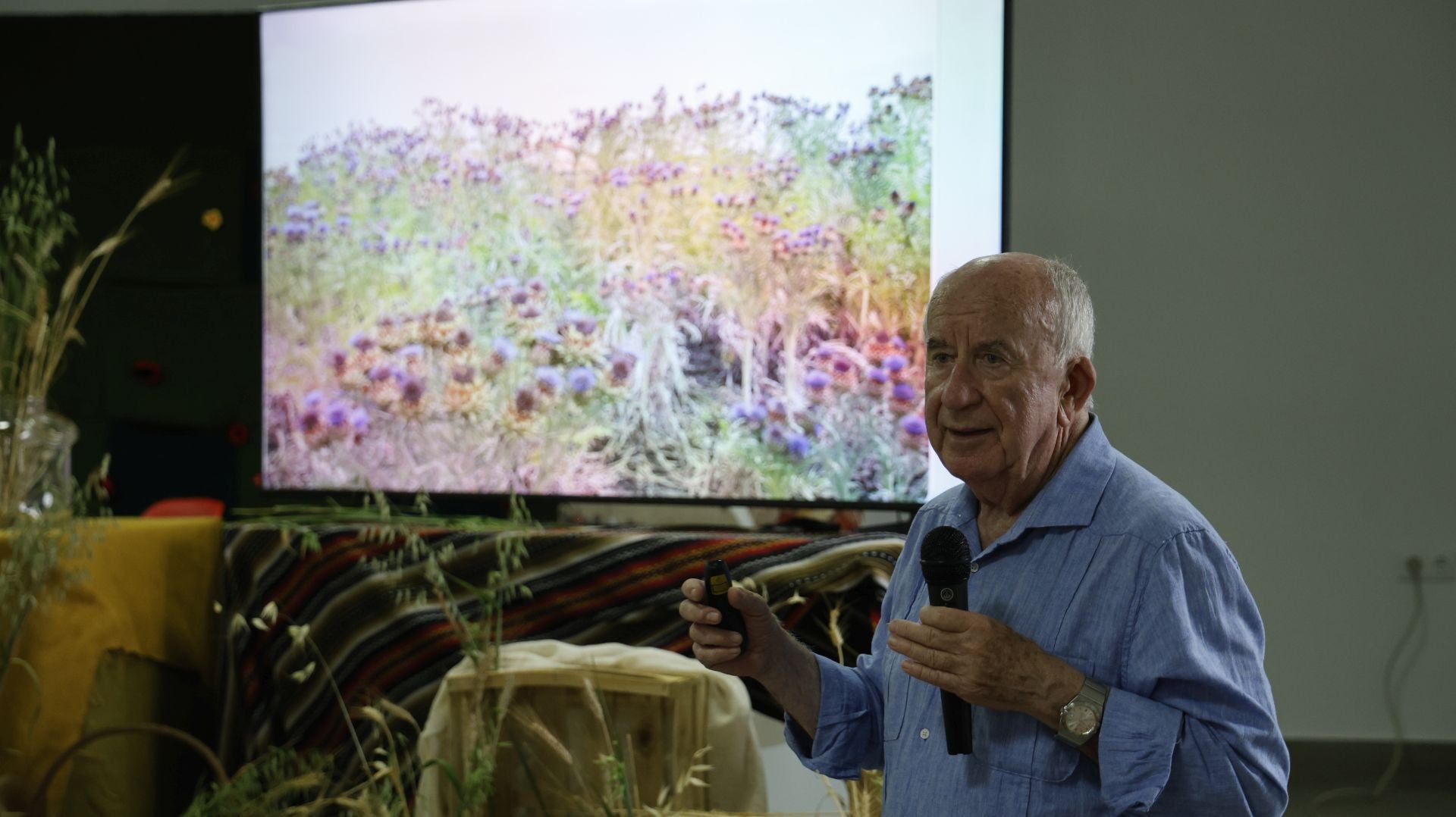 'Vive la Trashumancia' y 'Feria del Queso Artesano' (I)
