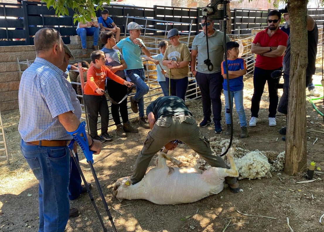 'Vive la Trashumancia' y 'Feria del Queso Artesano' (IV)