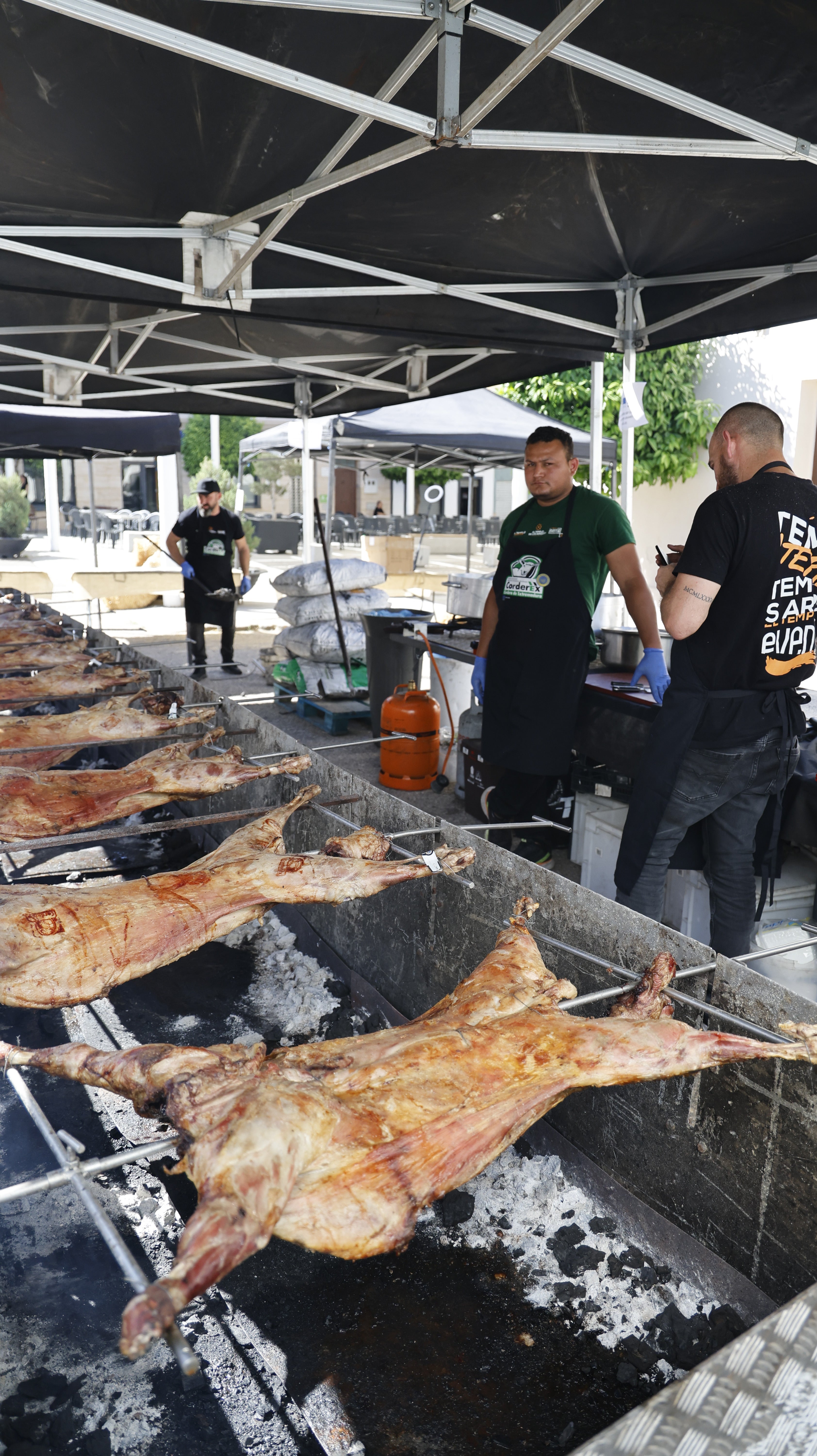 &#039;Vive la Trashumancia&#039; y &#039;Feria del Queso Artesano&#039; (III)