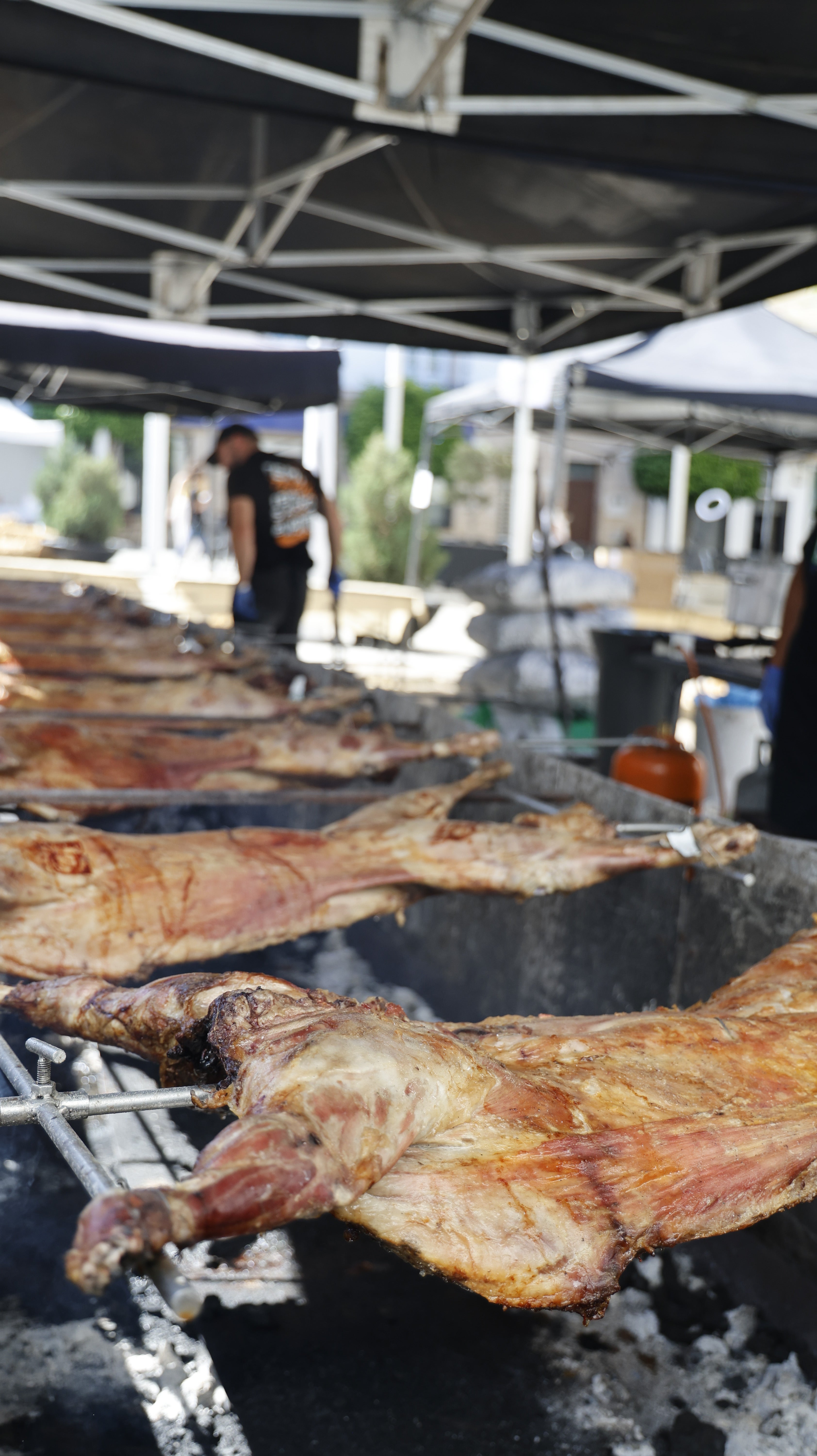 &#039;Vive la Trashumancia&#039; y &#039;Feria del Queso Artesano&#039; (III)