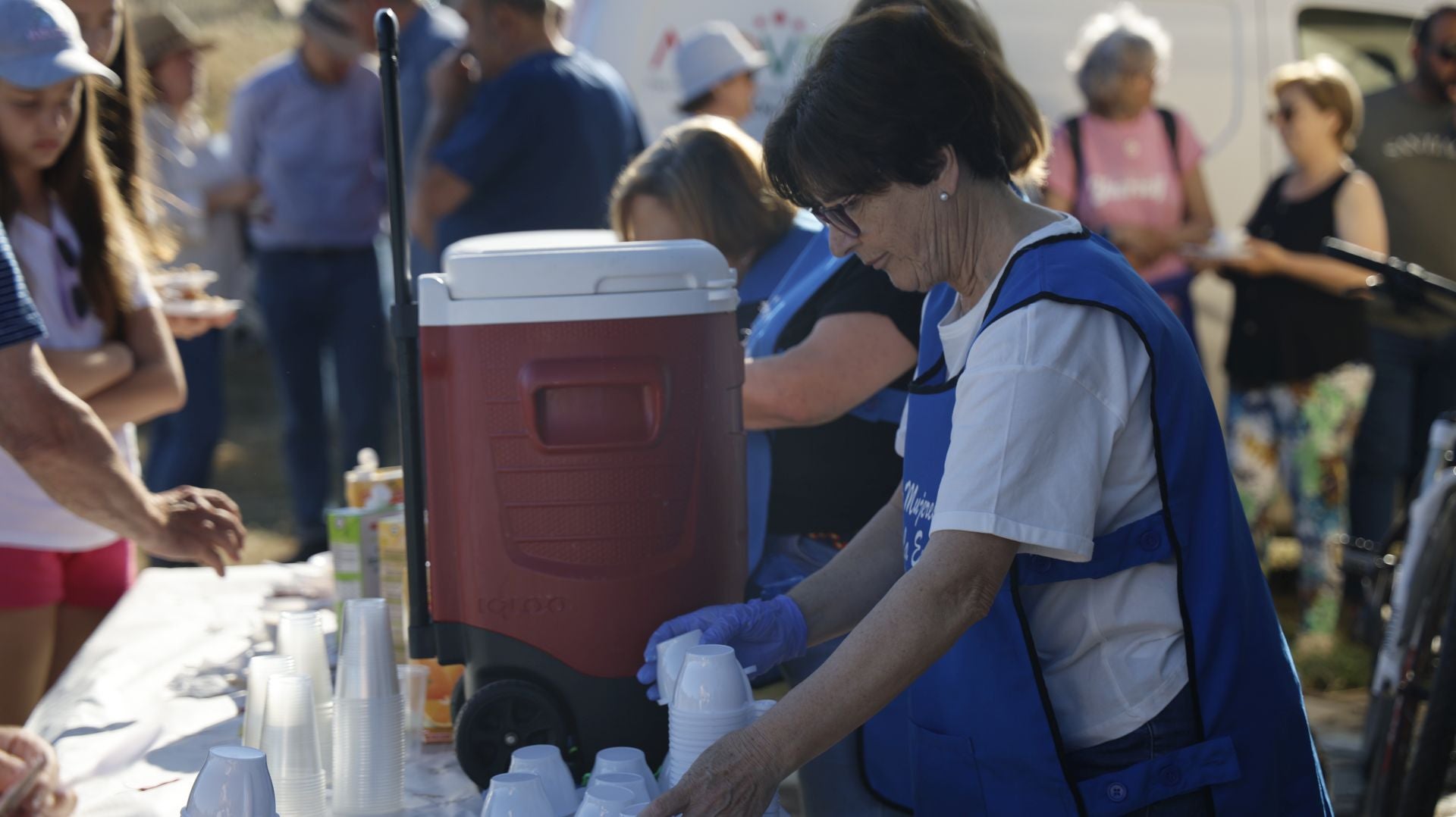 'Vive la Trashumancia' y 'Feria del Queso Artesano' (IV)