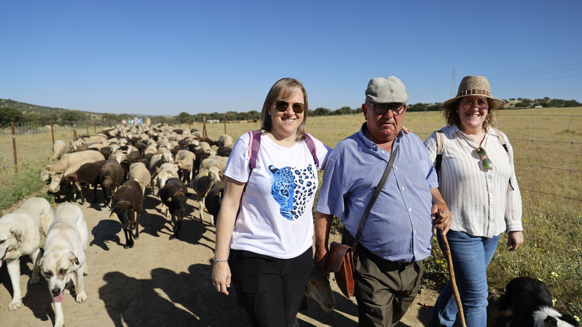 'Vive la Trashumancia' y 'Feria del Queso Artesano' (IV)
