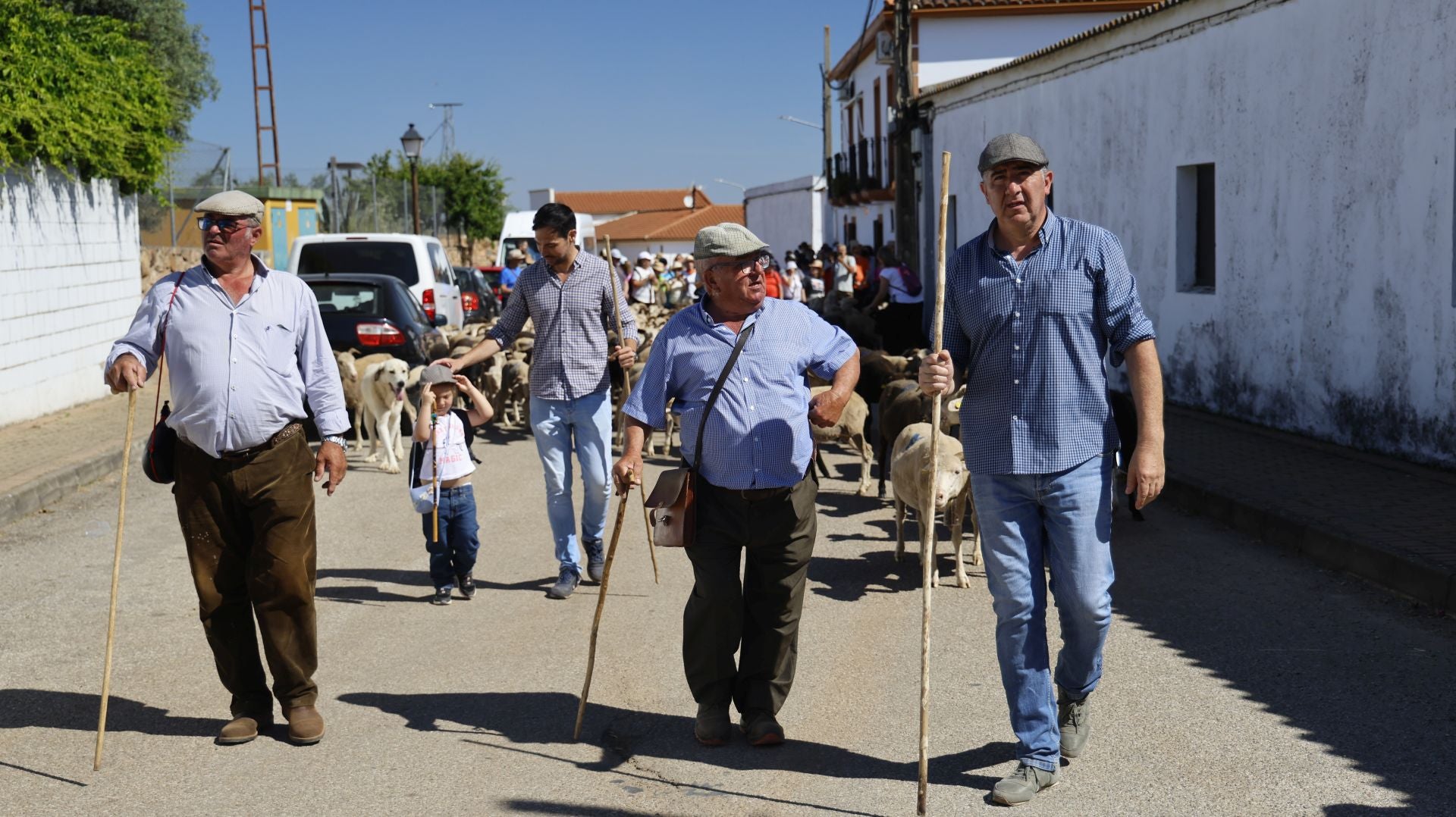 &#039;Vive la Trashumancia&#039; y &#039;Feria del Queso Artesano&#039; (IV)