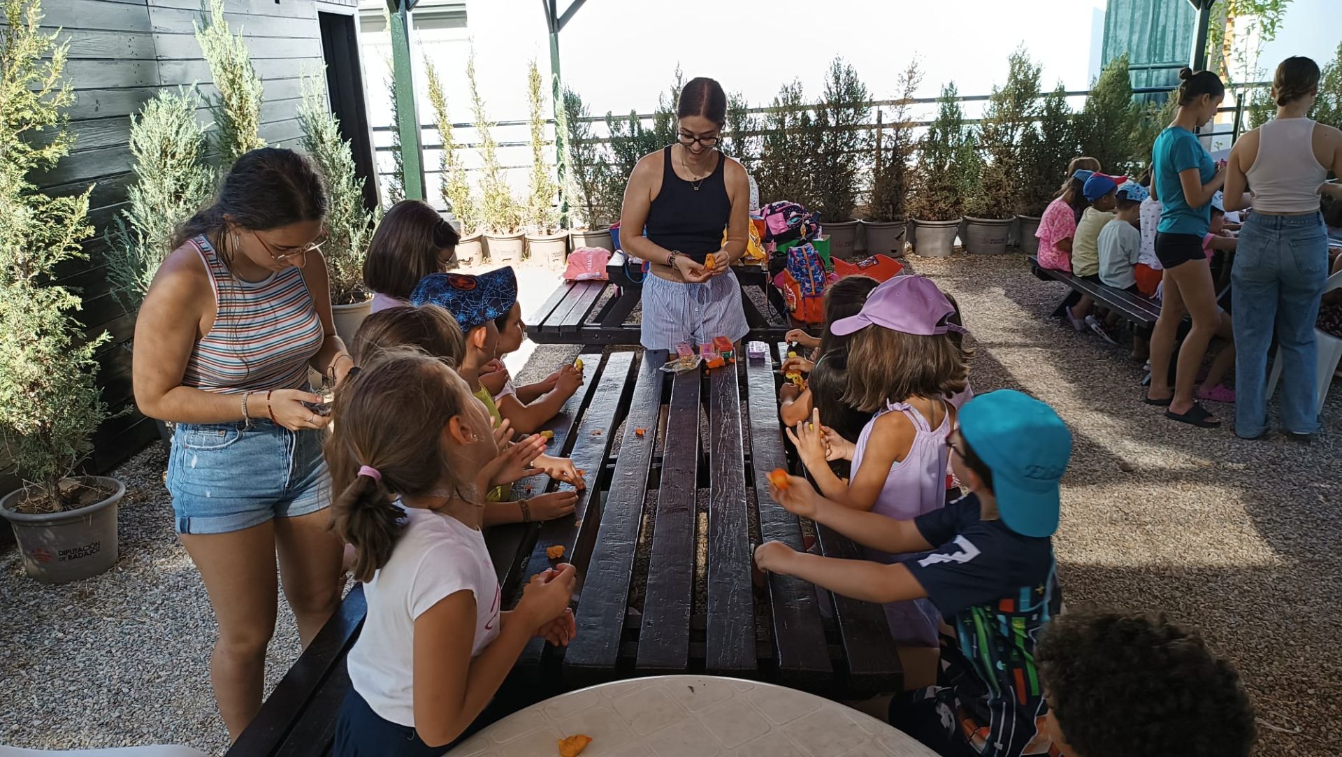 Campamento de Verano &#039;La Tribu&#039;