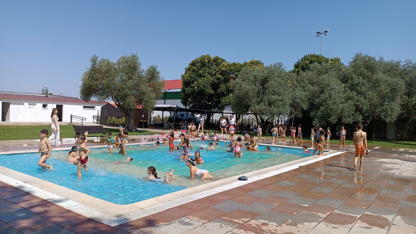 Campamento de Verano &#039;La Tribu&#039;