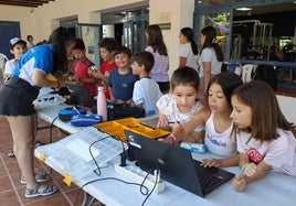 Campamento de Verano 'La Tribu'