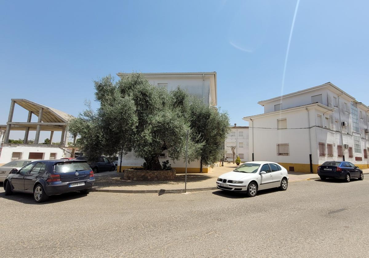 Nuevo lugar de parada