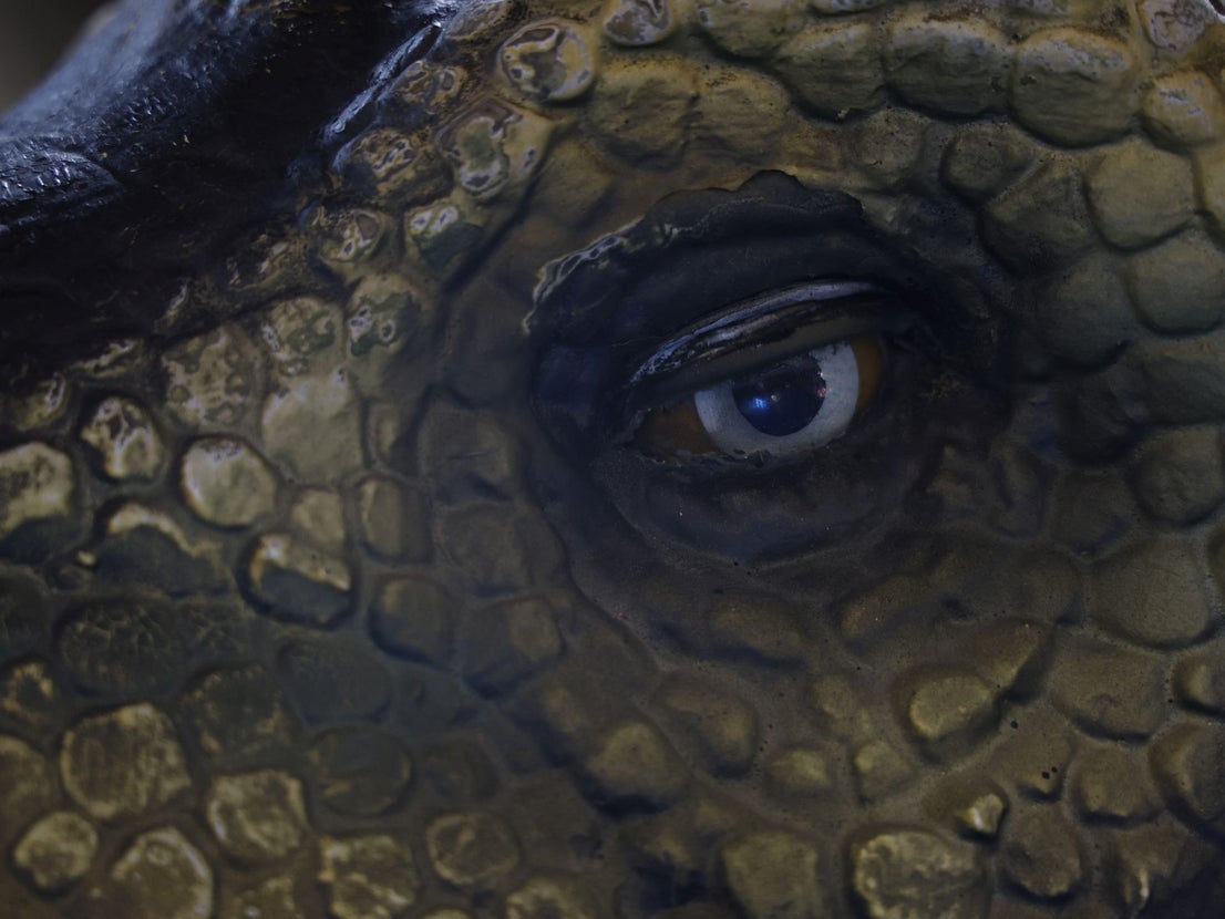 Criaturas Jurásicas
