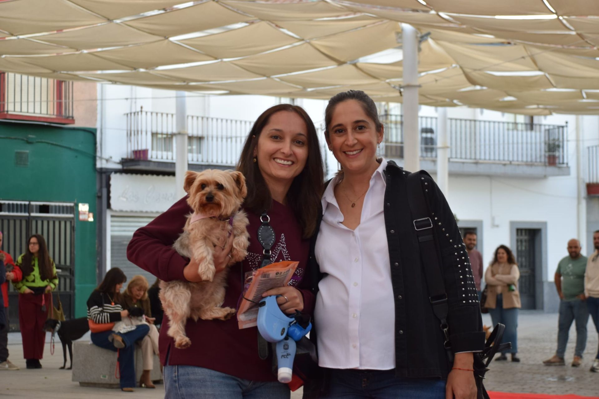 VI Desfile Canino Amaval
