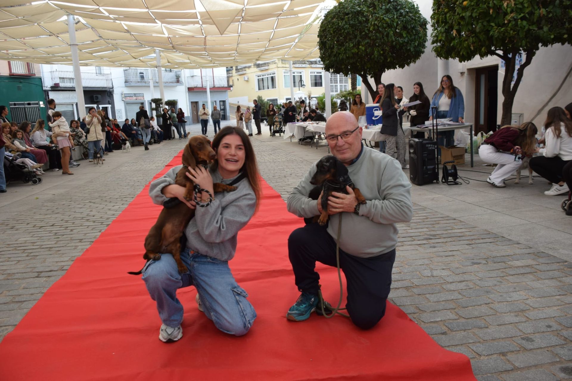 VI Desfile Canino Amaval