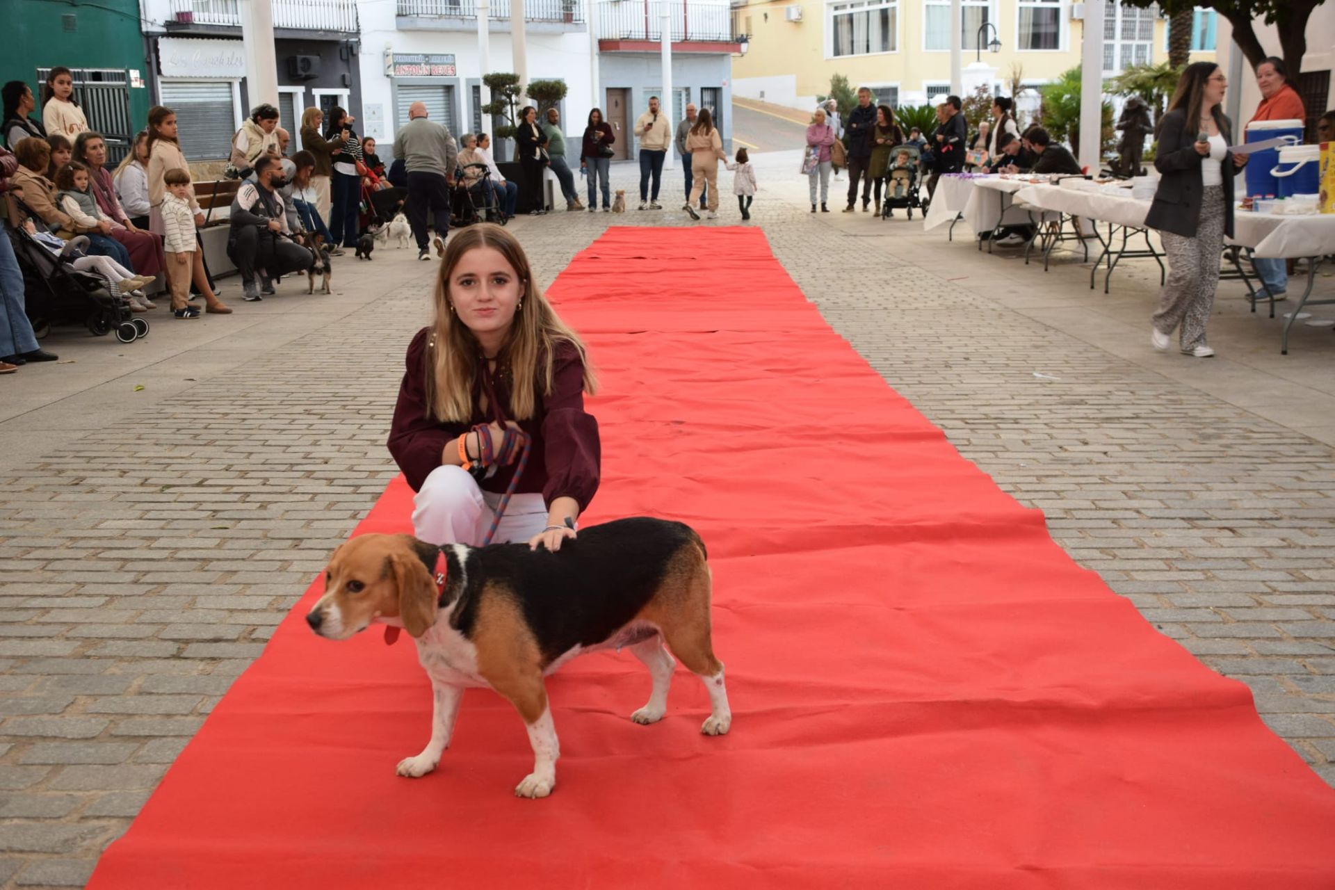 VI Desfile Canino Amaval