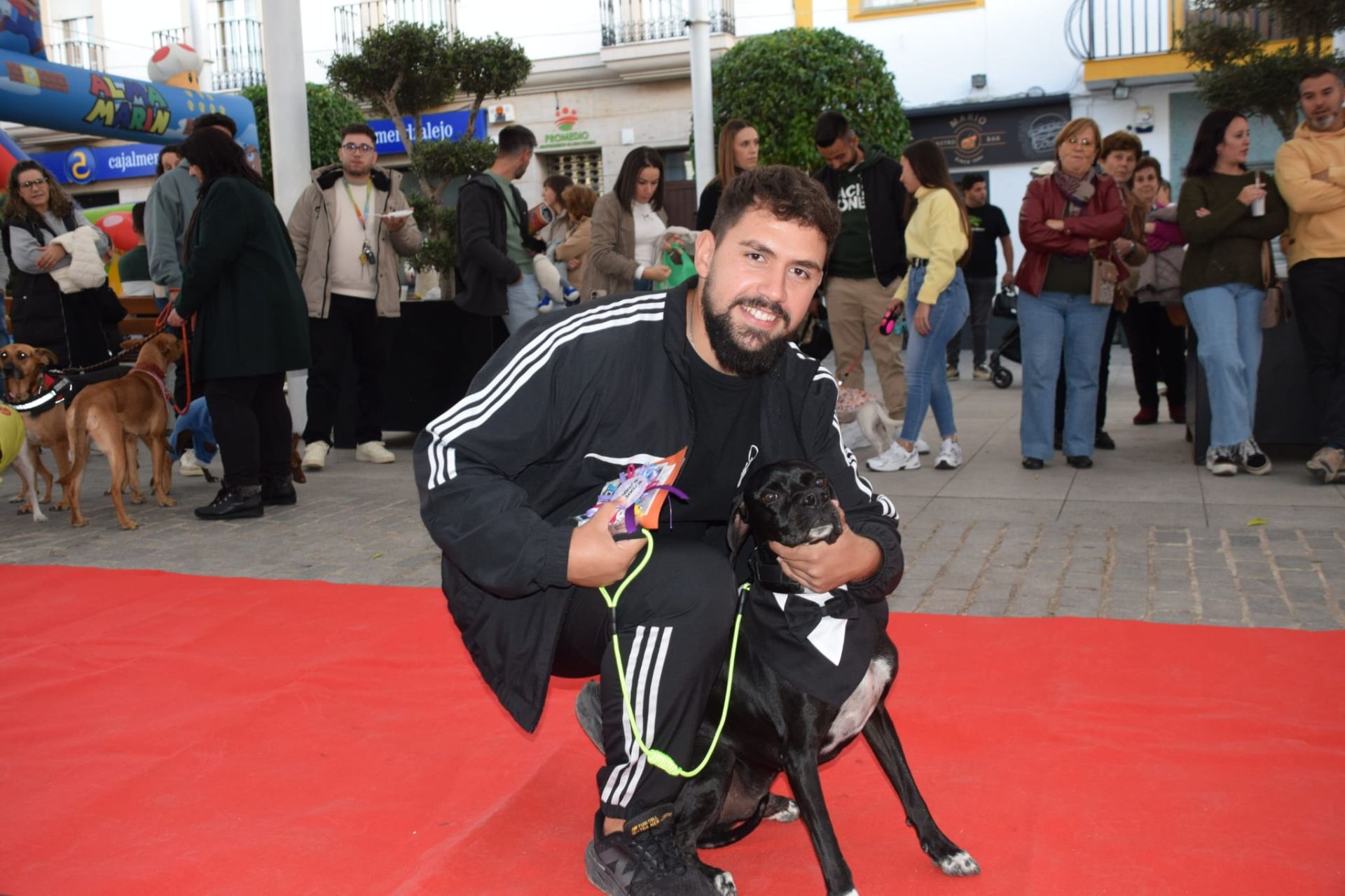 VI Desfile Canino Amaval