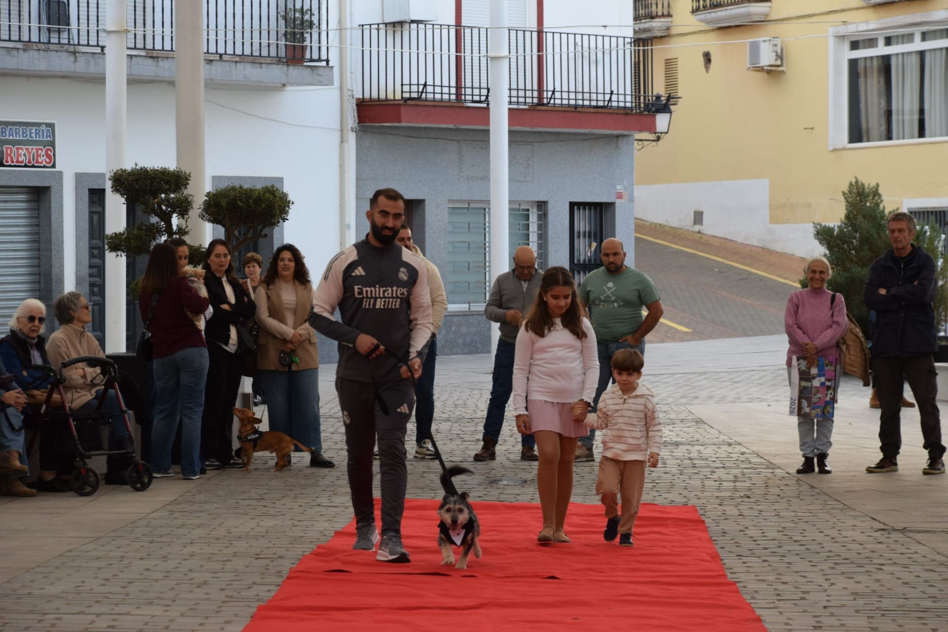 VI Desfile Canino Amaval