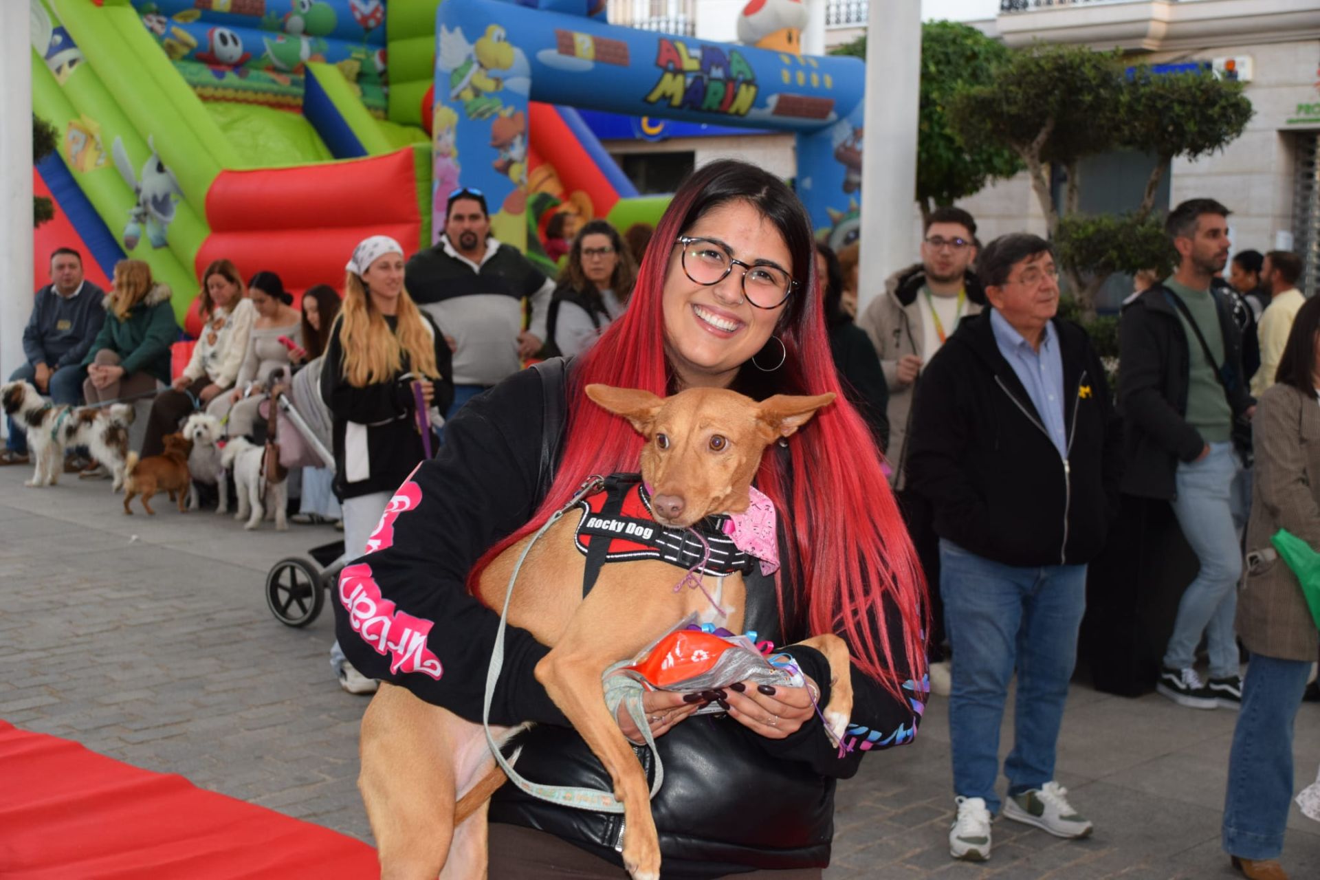 VI Desfile Canino Amaval
