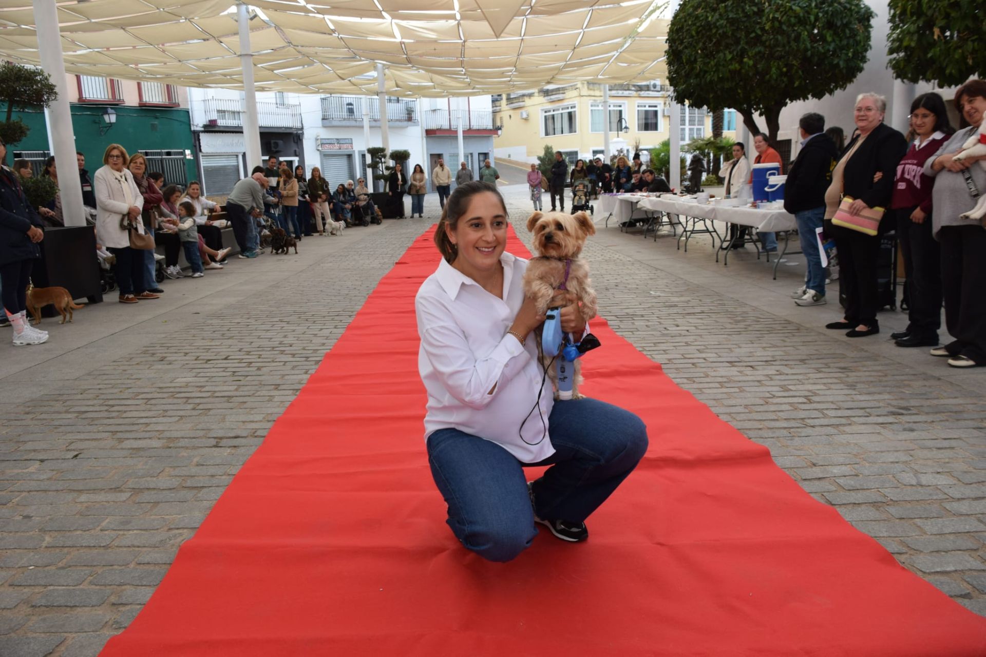 VI Desfile Canino Amaval