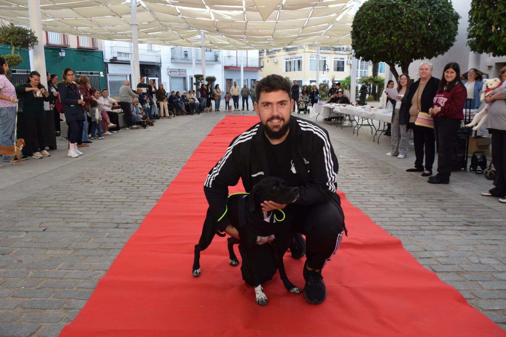VI Desfile Canino Amaval