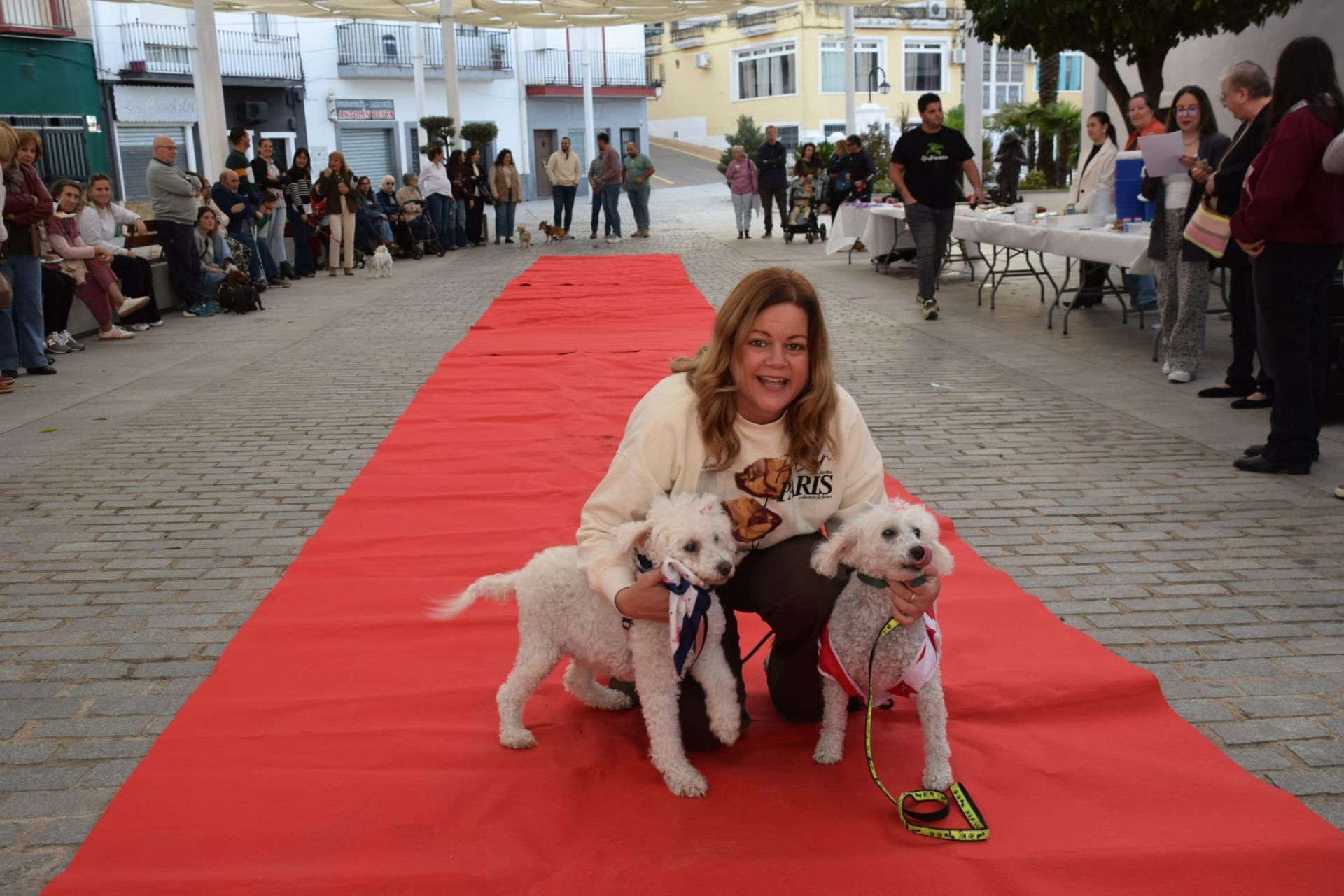 VI Desfile Canino Amaval