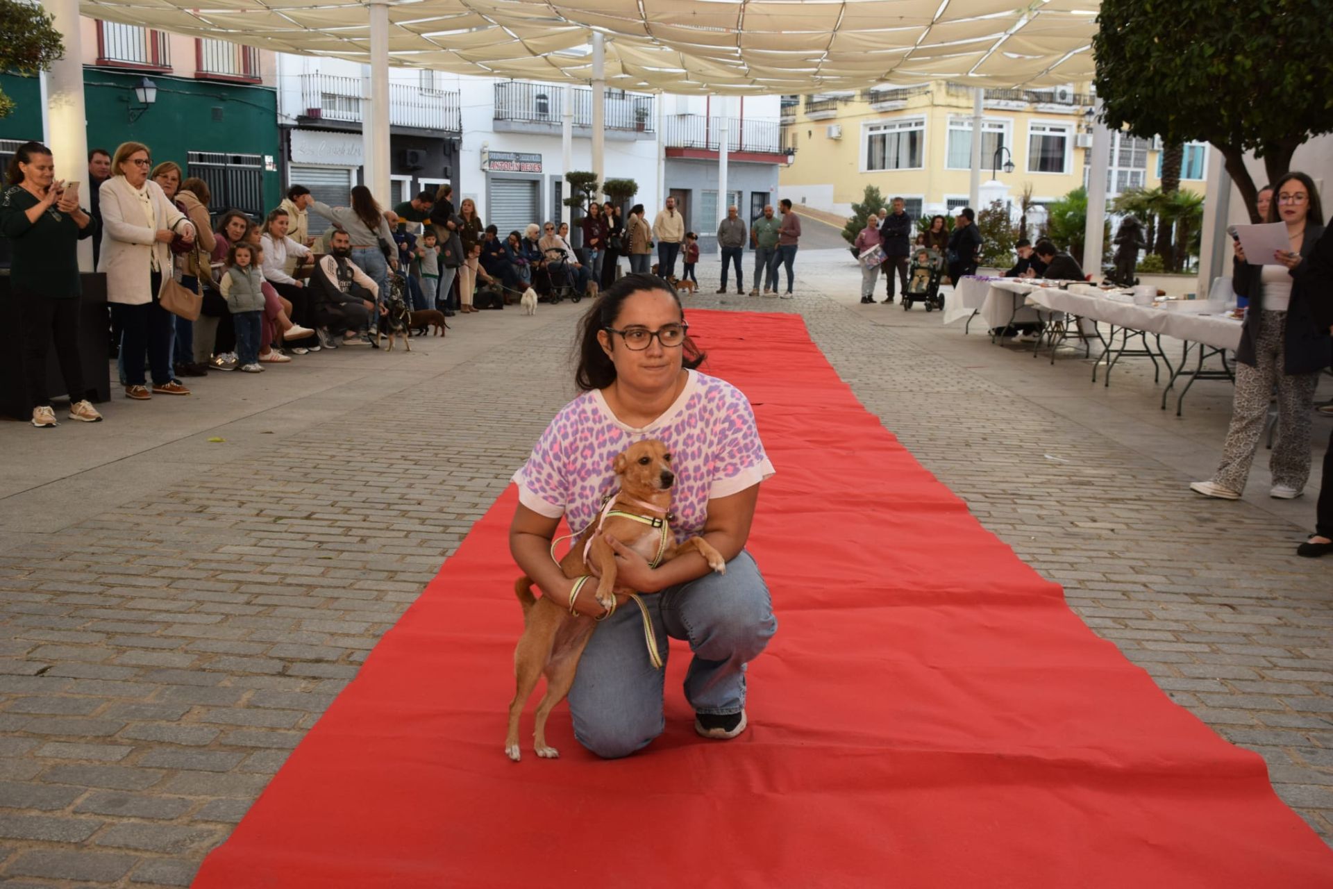 VI Desfile Canino Amaval