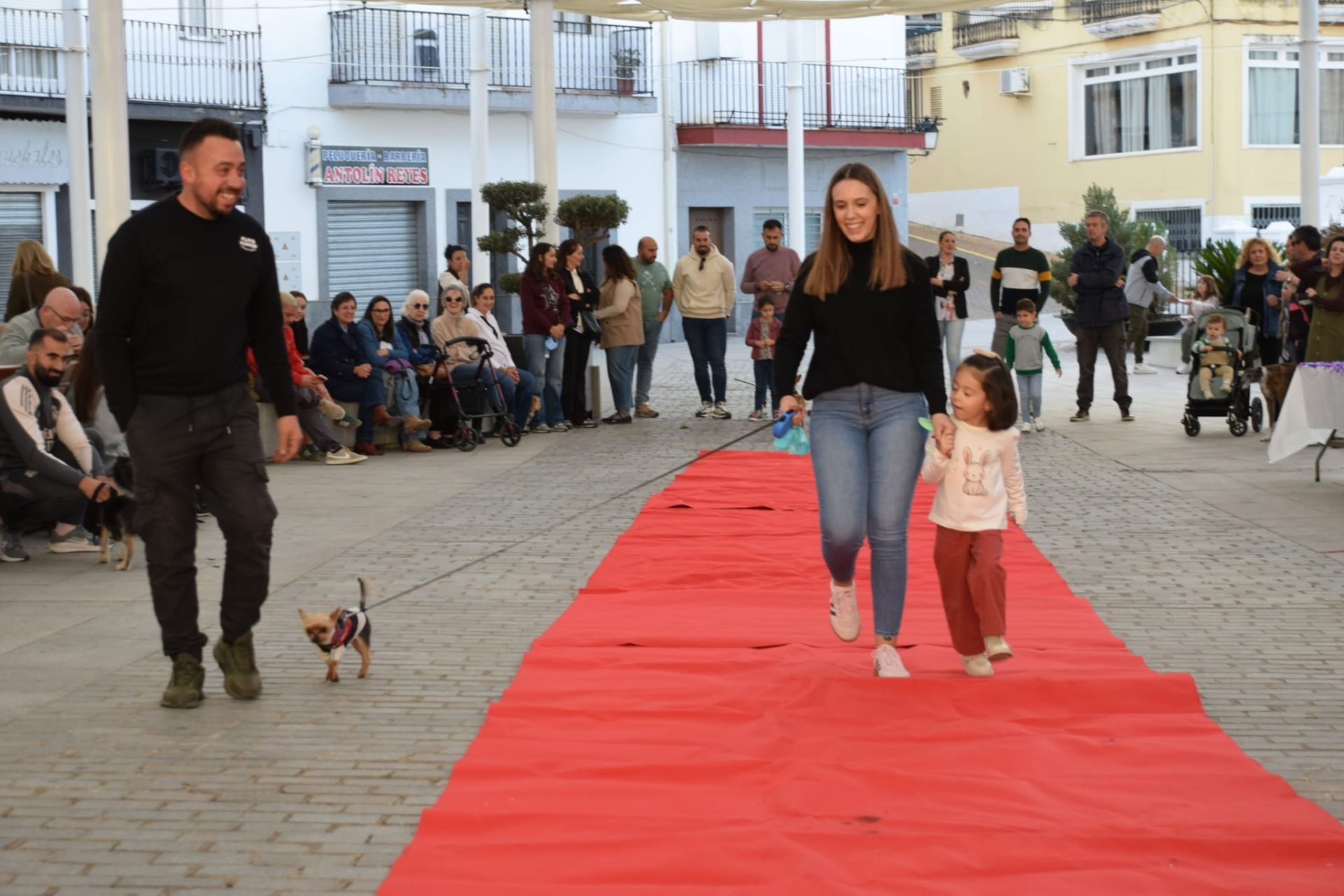 VI Desfile Canino Amaval
