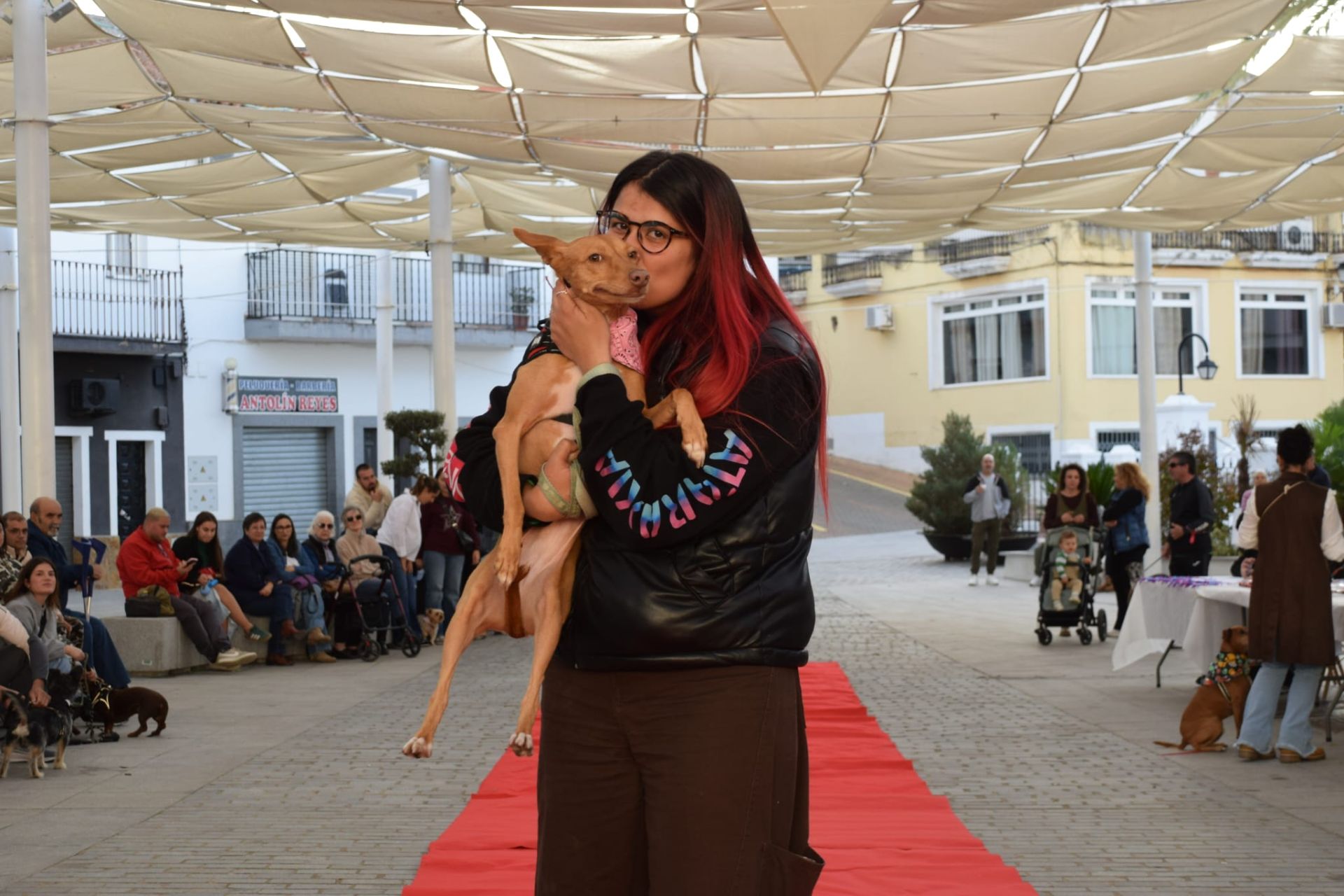 VI Desfile Canino Amaval