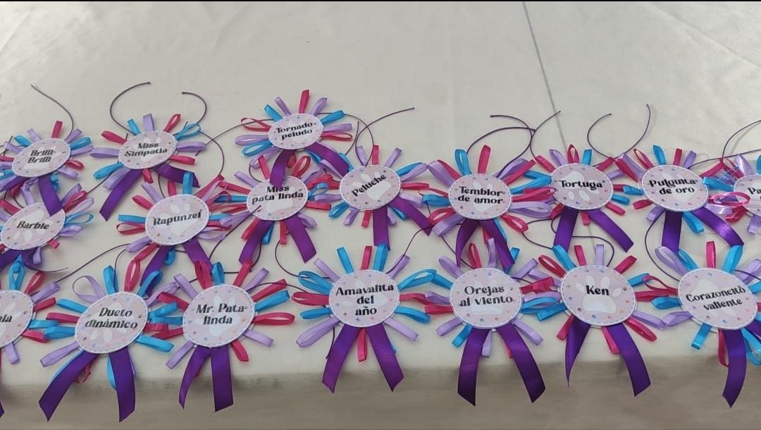 VI Desfile Canino Amaval