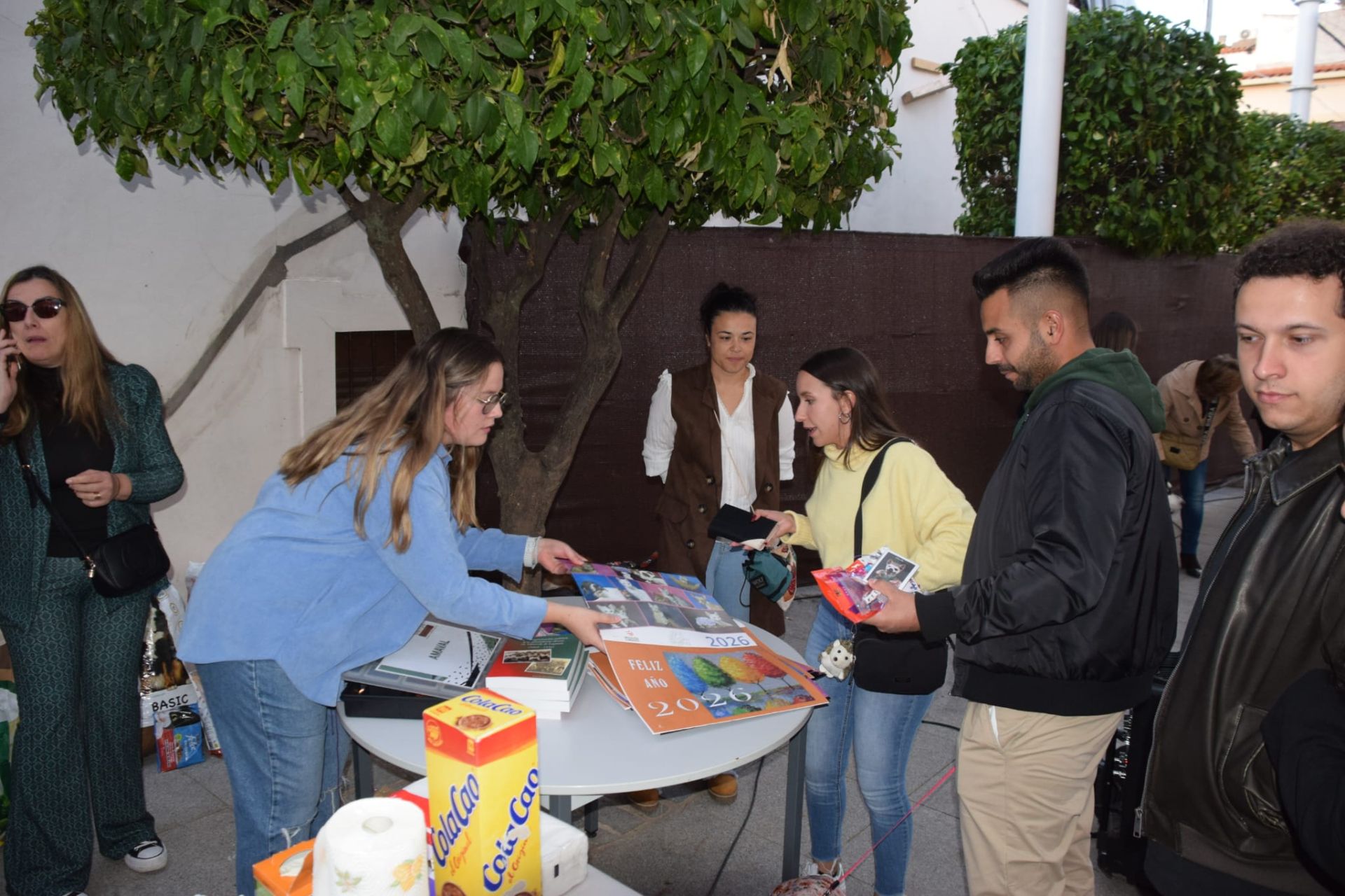 VI Desfile Canino Amaval