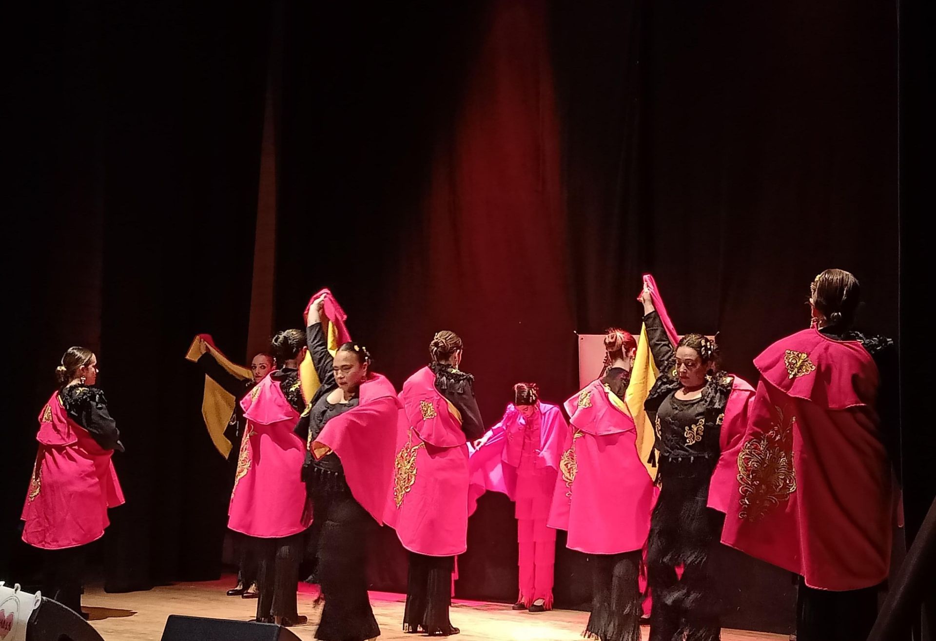 Gala Flamenca en apoyo a Paola