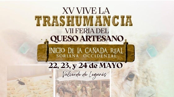 Programación de actividades para este viernes