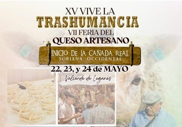 Actividades programadas para este sábado