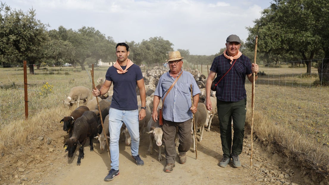 Recorrido Trashumante
