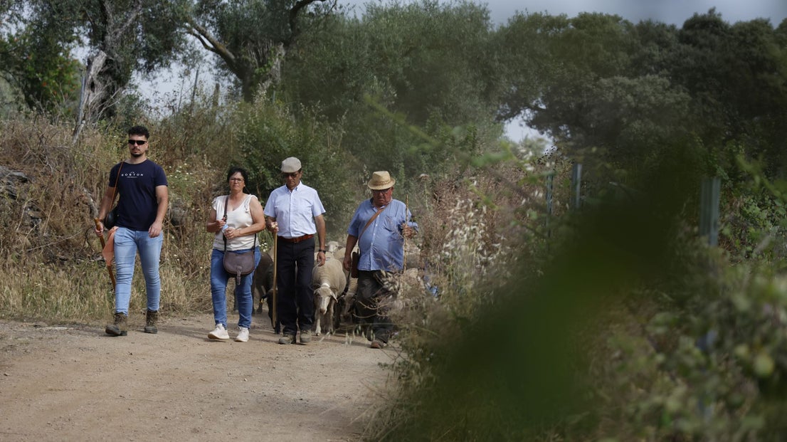 Recorrido Trashumante