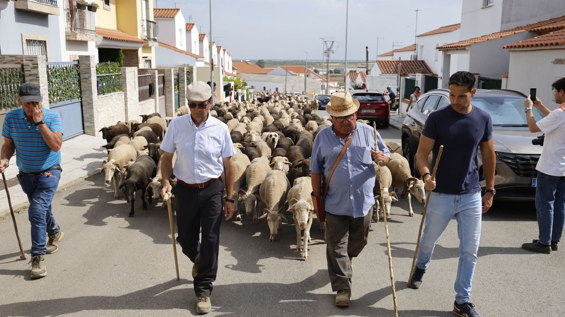 Recorrido Trashumante
