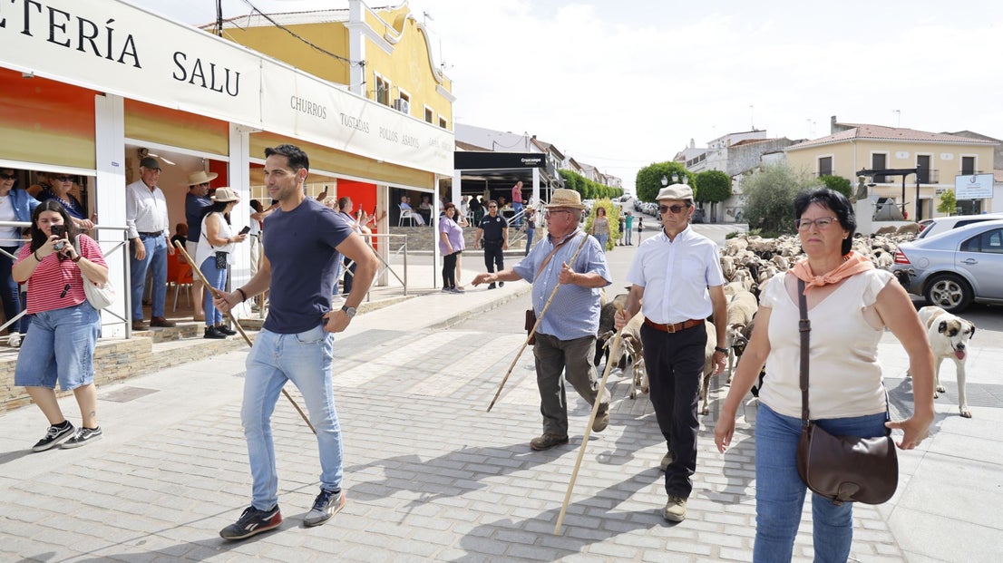 Recorrido Trashumante