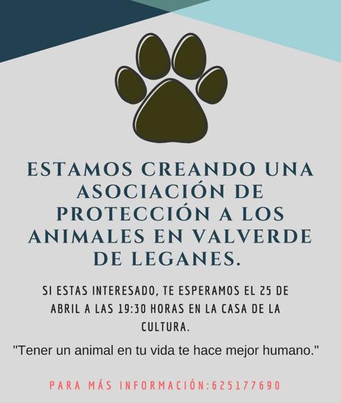 Se está creando una asociación de protección de animales