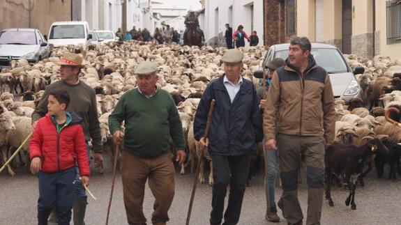 El Recorrido Trashumante en su paso por la calle La Cañada de la localidad