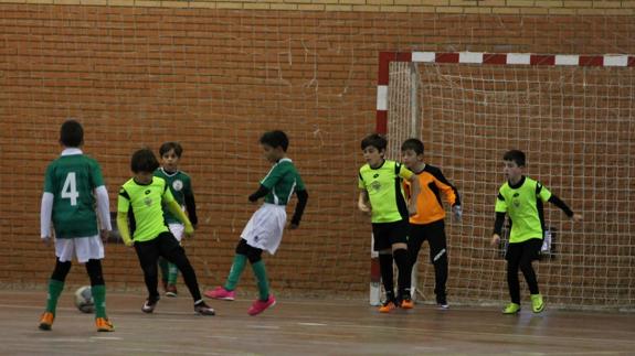 Este viernes, fútbol 8 de alevines