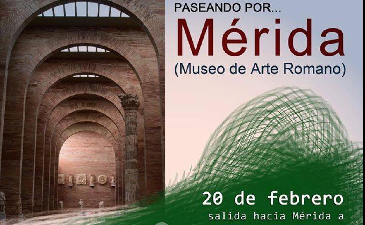 La concejalía de Mayores propone visitar el Museo Romano de Mérida en su nueva edición de «Paseando por…»