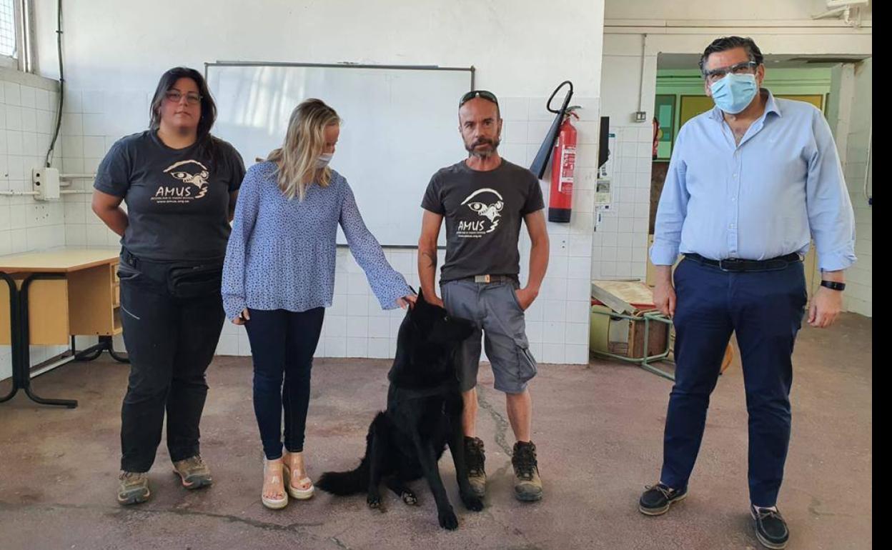 AMUS lleva a cabo un programa de adiestramiento canino para la recuperación y rescate de rapaces