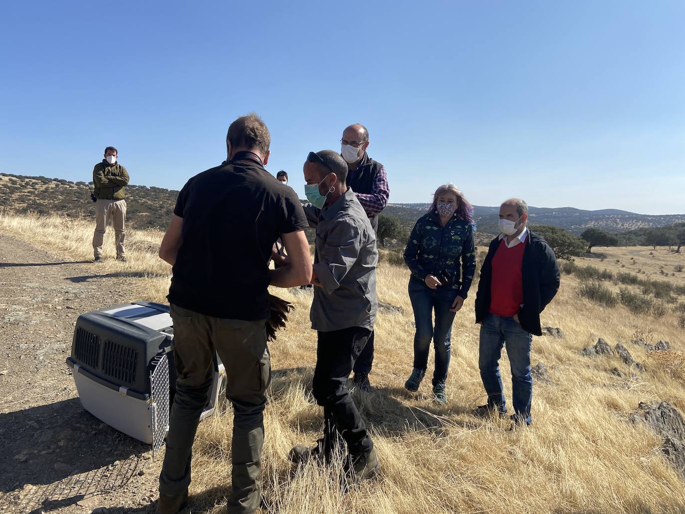 Fotos: AMUS libera a un Águila imperial recuperado tras una electrocución