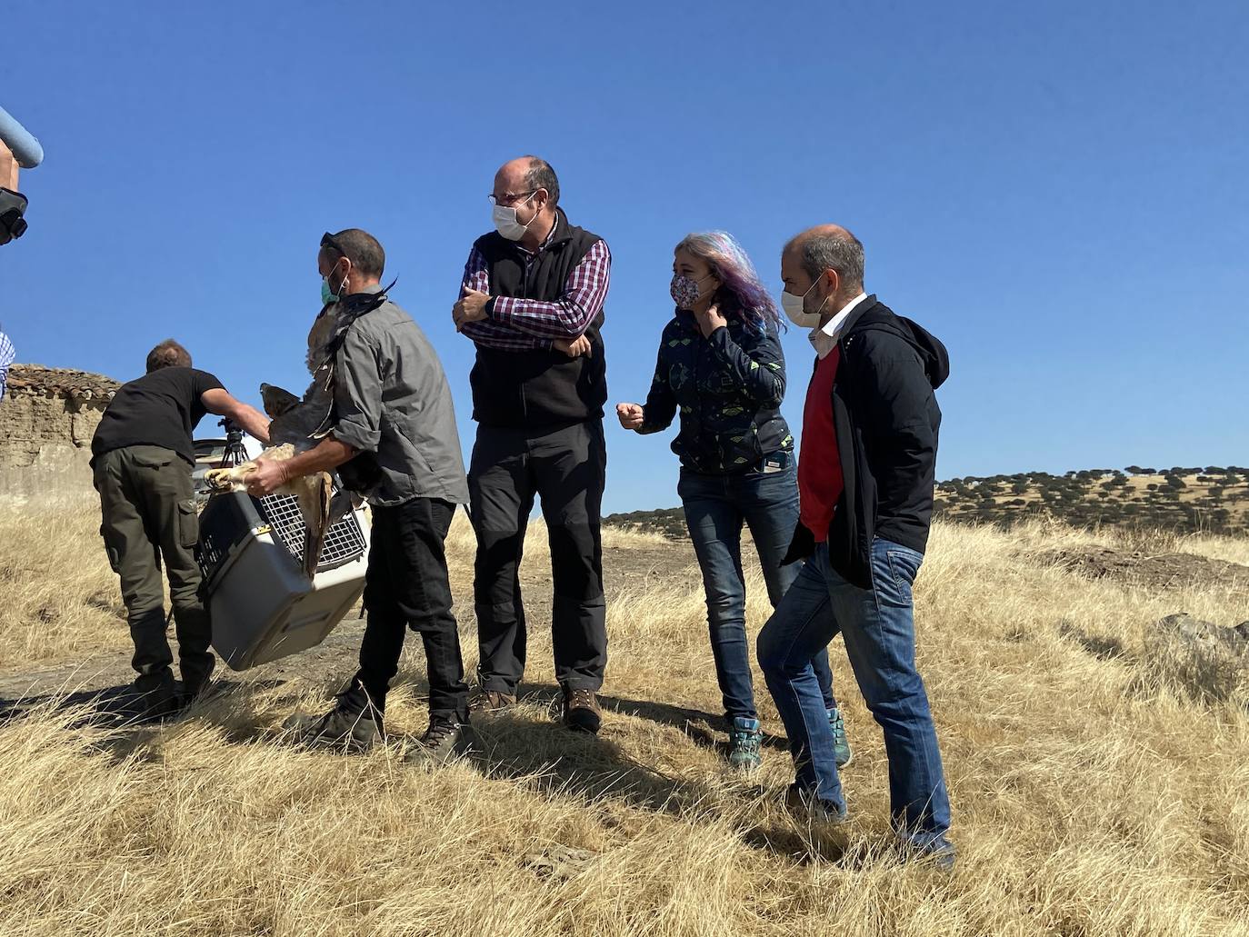 Fotos: AMUS libera a un Águila imperial recuperado tras una electrocución