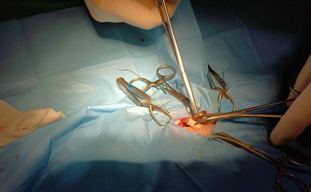 Instante de la implementación ósea.