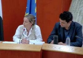 Captura de pantalla del pleno celebrado este pasado jueves, 21 de octubre.