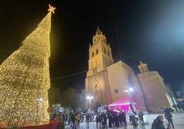 Árbol gigante de 20 metros ubicado en la Plaza del Corazón de María.