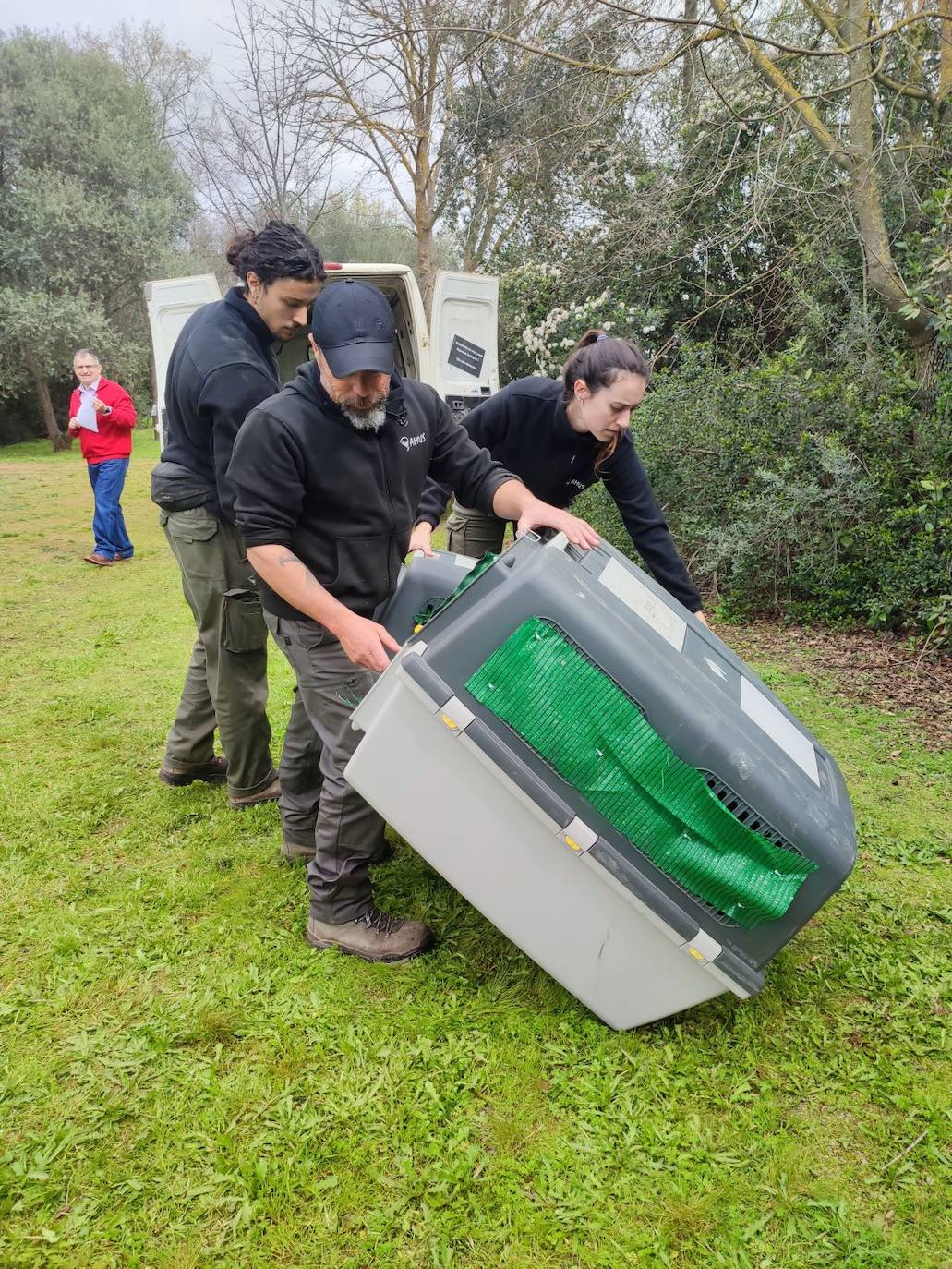 Transportines adaptados para el viaje, en los que van alojados cada buitre.